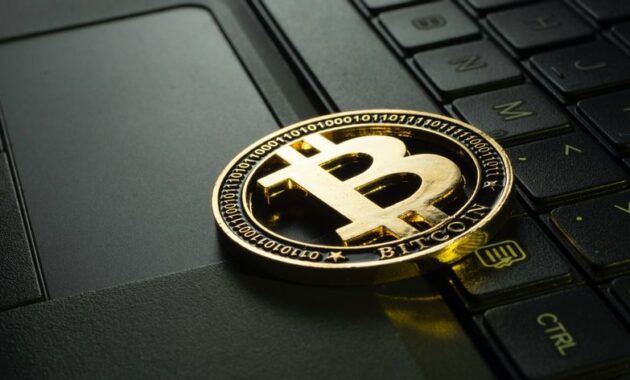 menambang crypto di android